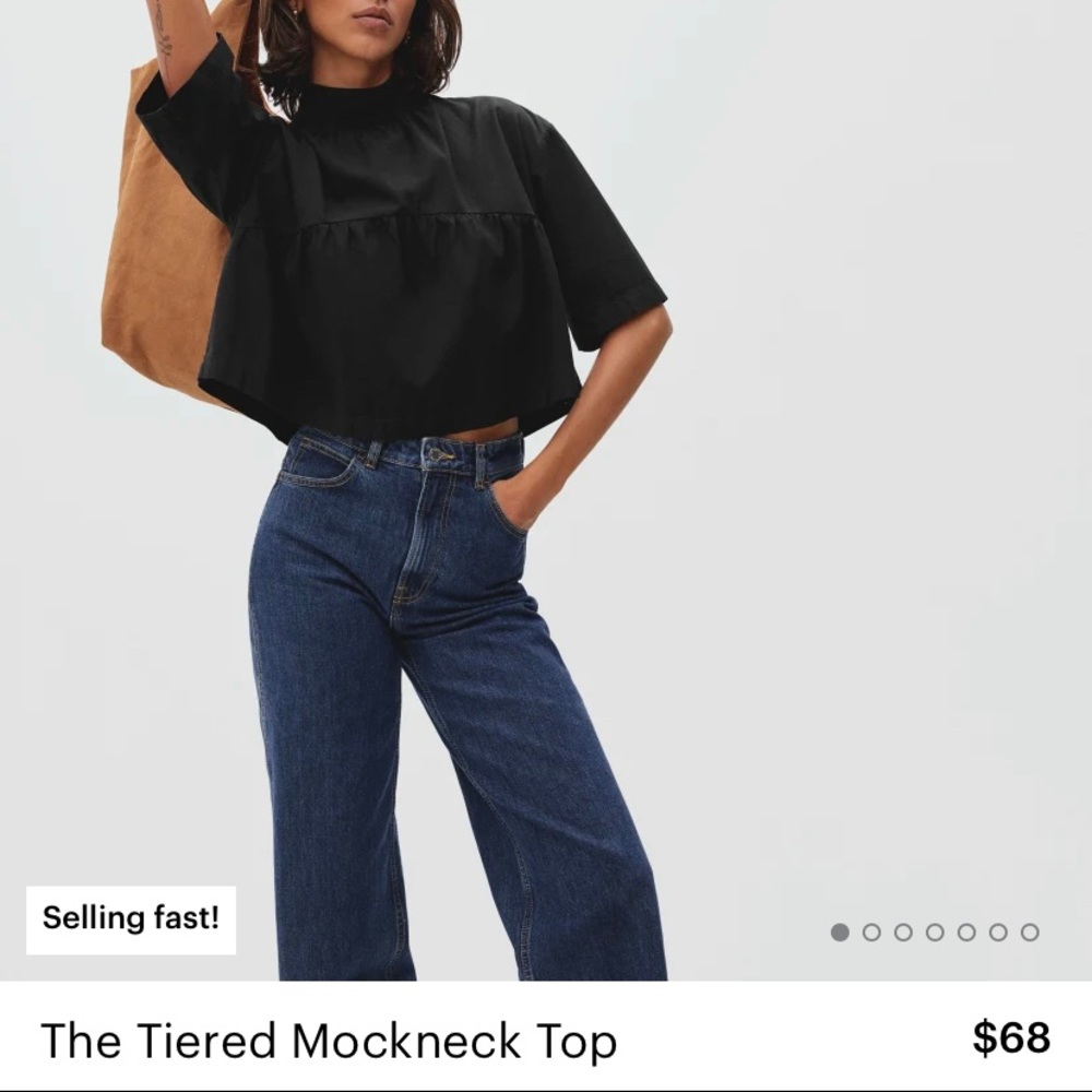 NWT Everlane Tiered Mockneck Top